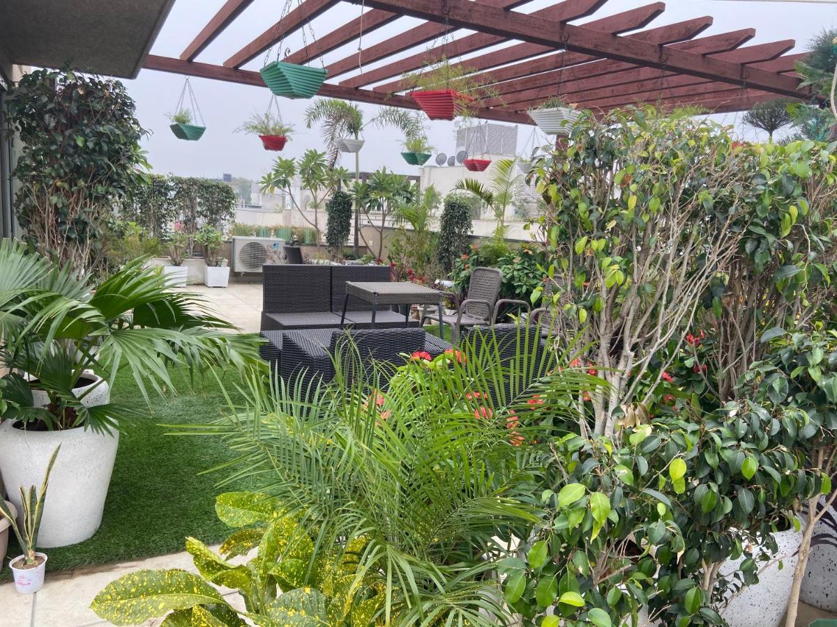 Art House Vasant Vihar New Delhi Bed & Breakfast エクステリア 写真